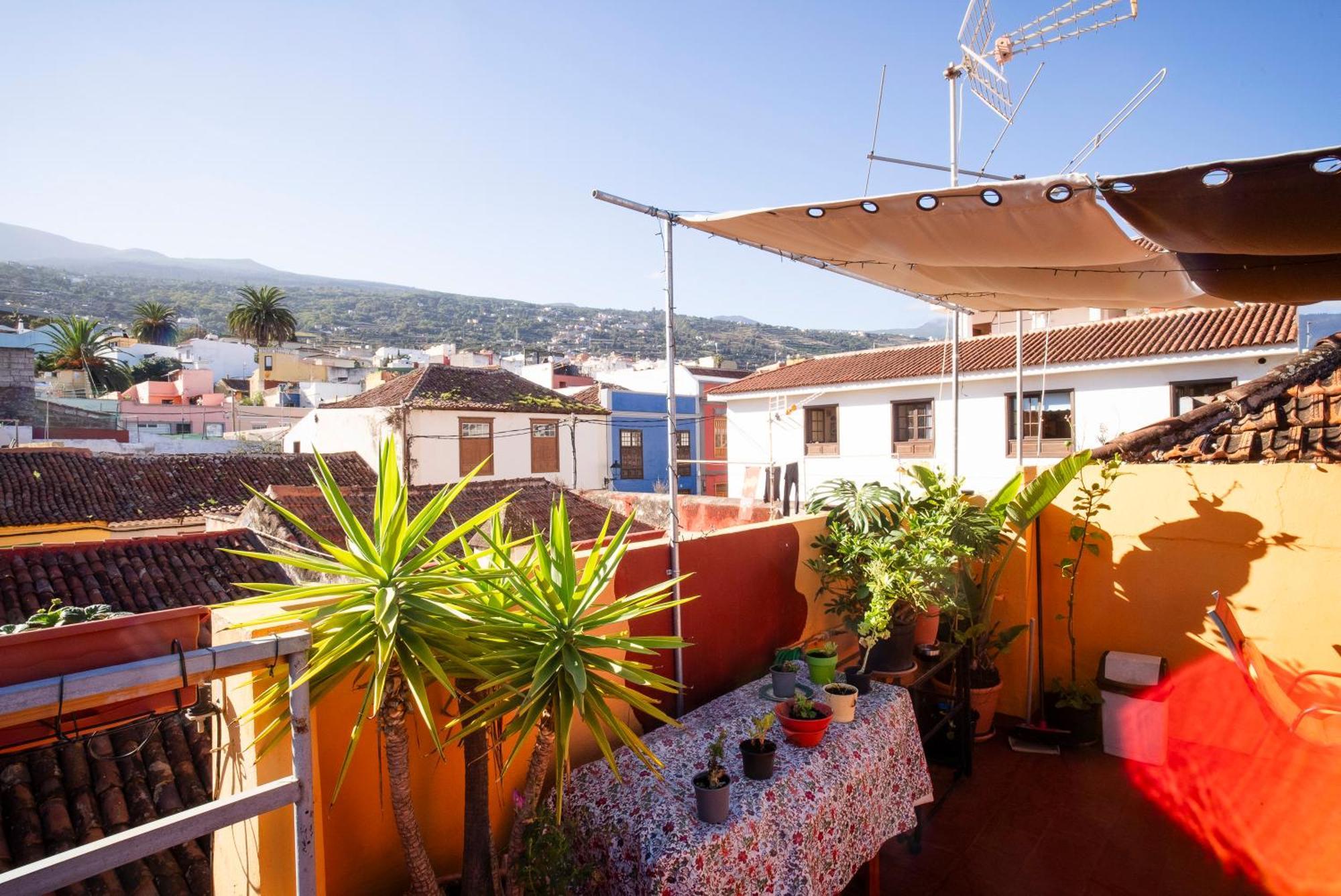 Hostel Tenerife La Orotava Ngoại thất bức ảnh