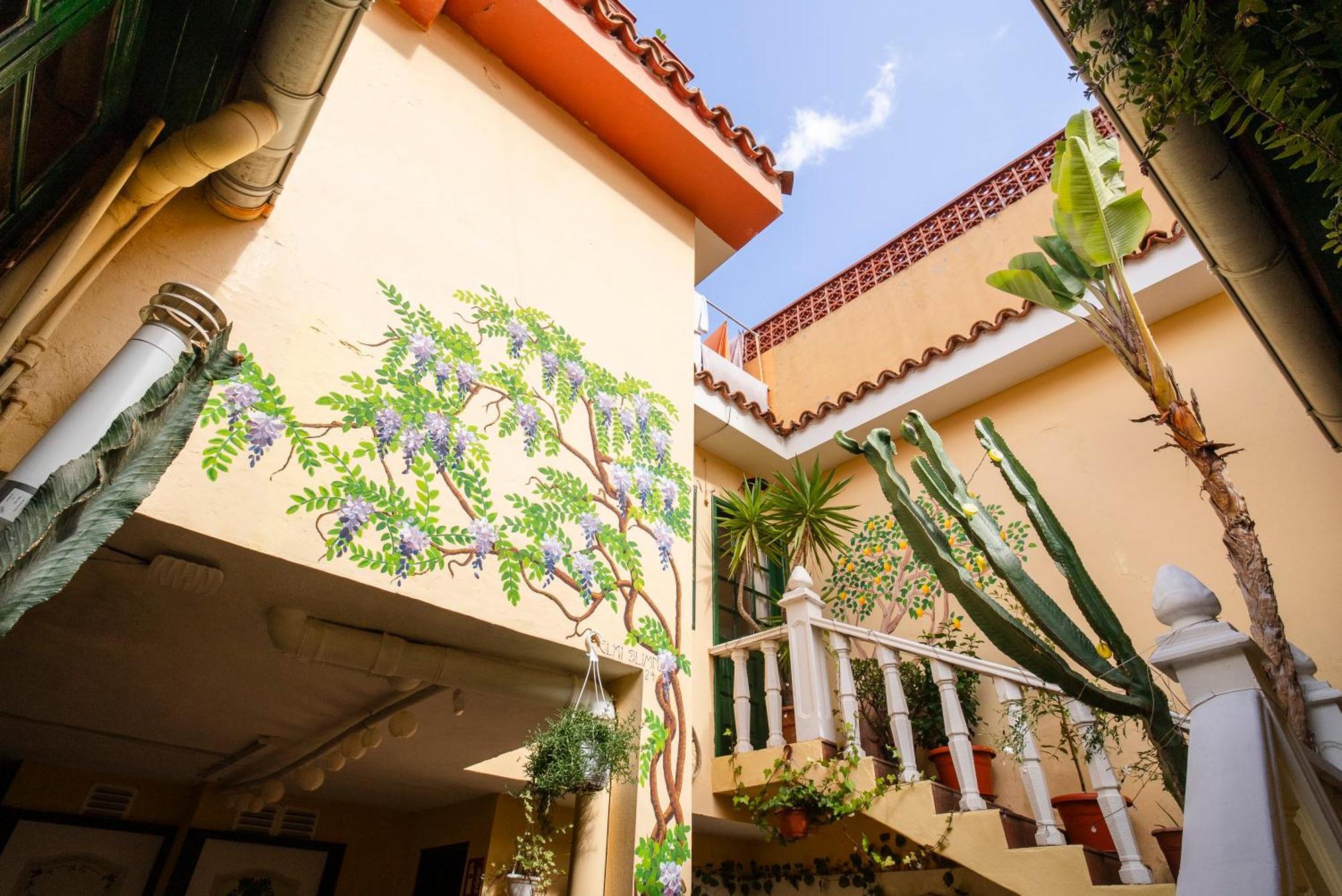 Hostel Tenerife La Orotava Ngoại thất bức ảnh