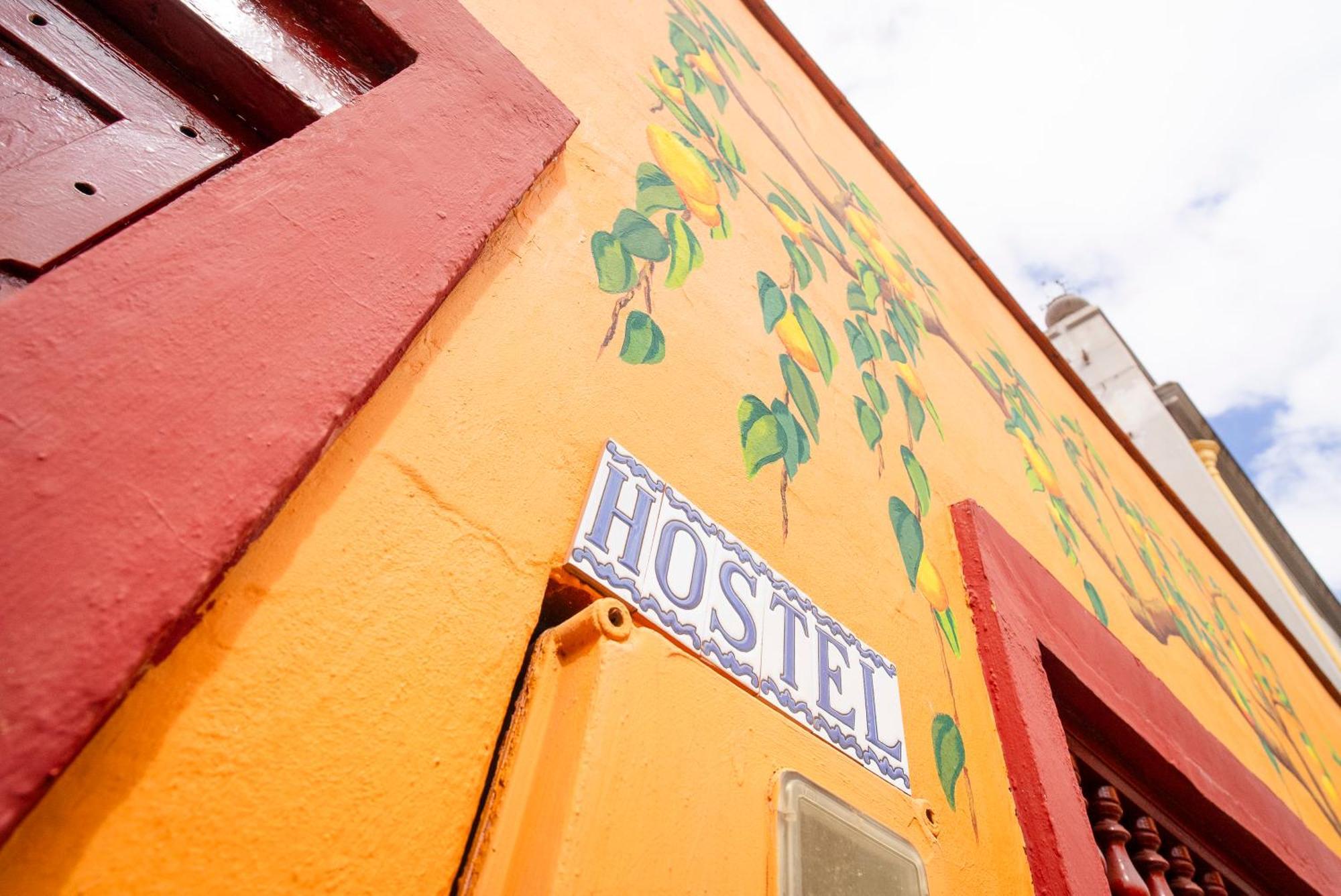 Hostel Tenerife La Orotava Ngoại thất bức ảnh